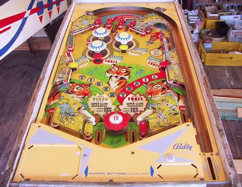Playfield*