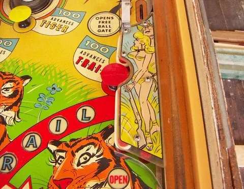 Playfield - Detail*