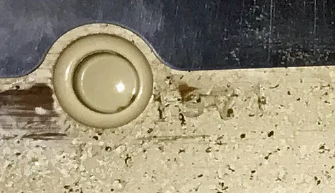 Cabinet - Serial Number*