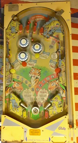Early Production Playfield*