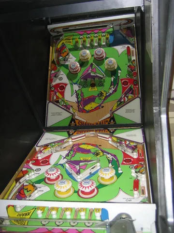 Playfield And Reflection*