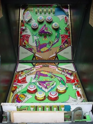 Playfield And Reflection