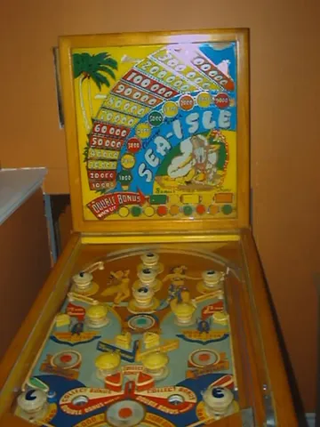 Front View (with retrofit flippers)