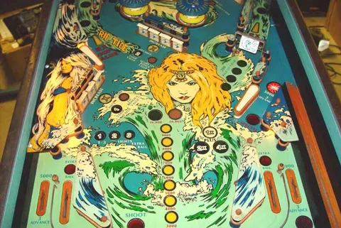 Lower Playfield