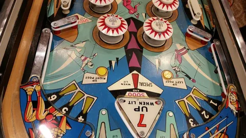 Upper Playfield - Downfield View - 2 Flippers*