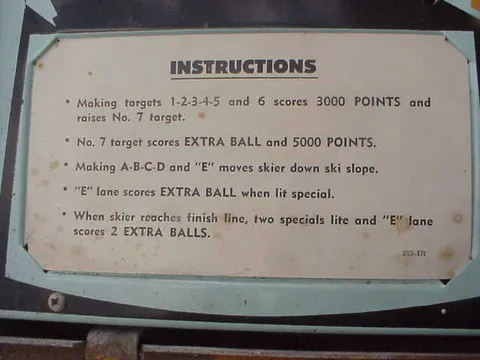 Instruction Card - 2 Flippers*