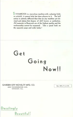 Flyer - Back