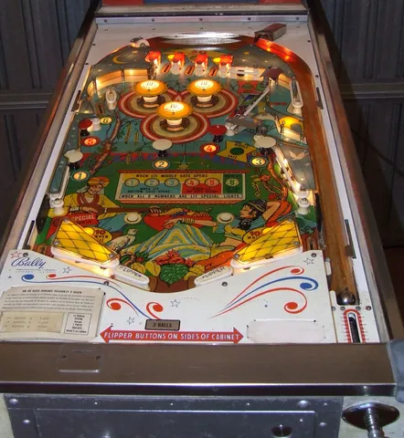 Illuminated Playfield*