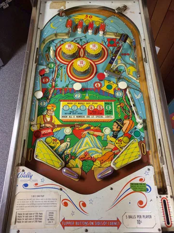 Playfield*
