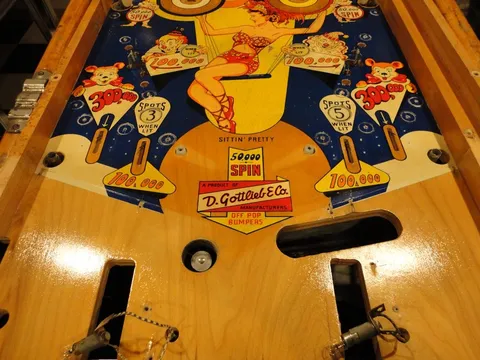 Stripped Lower Playfield*