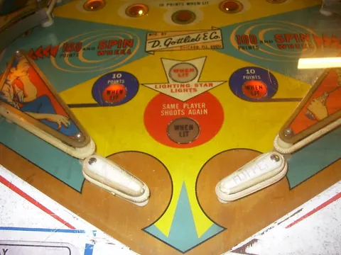 Flipper Area