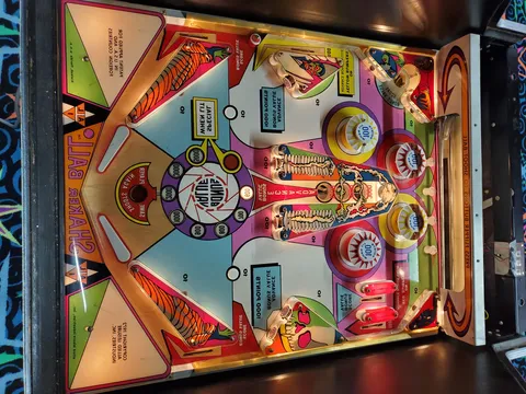 Illuminated Playfield