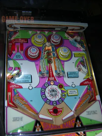 Playfield Reflected in Mirror