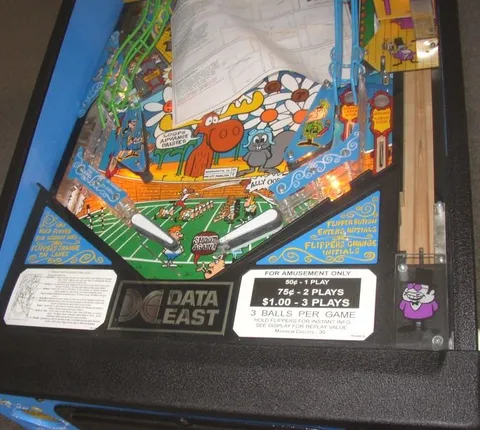 Lower Playfield