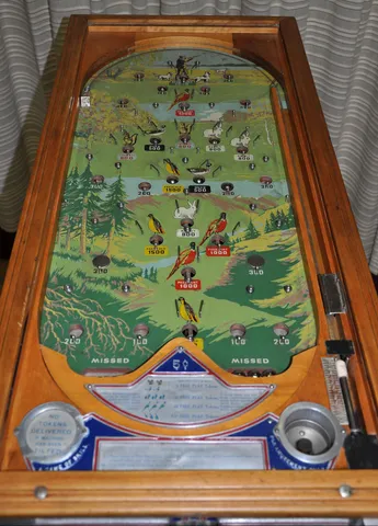 Playfield*