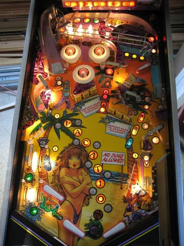 Illuminated Playfield
