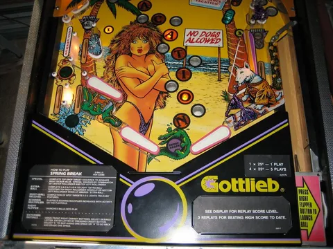 Lower Playfield