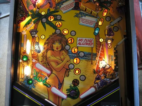 Illuminated Lower Playfield