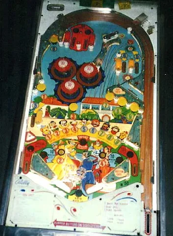 Playfield