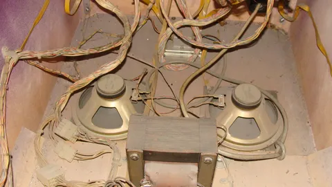 Speakers*