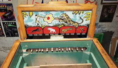 Inside Cabinet - Backbox Installed*
