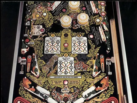 Playfield
