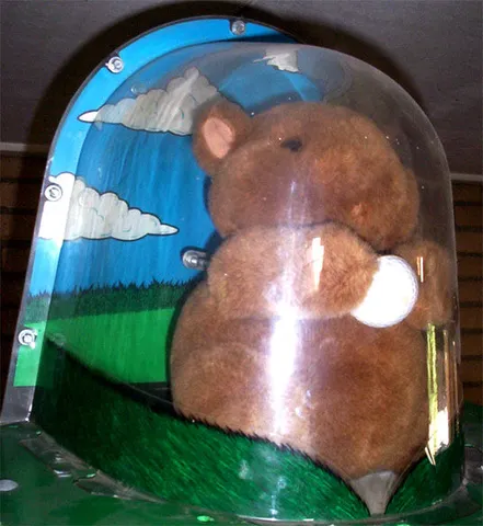 Gopher Backbox Topper