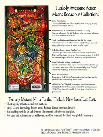 Flyer, Back