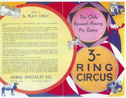 Flyer, Back