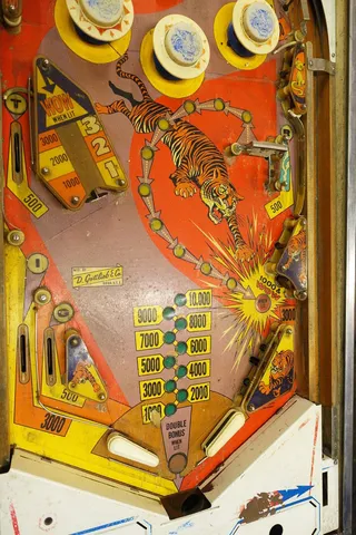 Lower Playfield