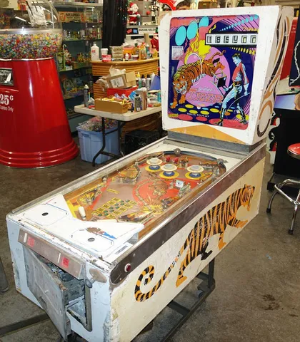 Cabinet - Full View