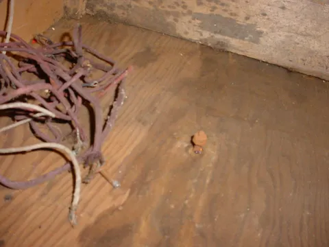 Inside Cabinet*