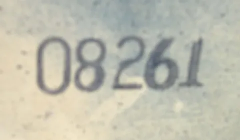 Backbox Serial Number*
