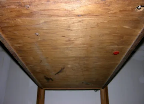 Cabinet - Bottom*