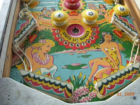 Lower Playfield