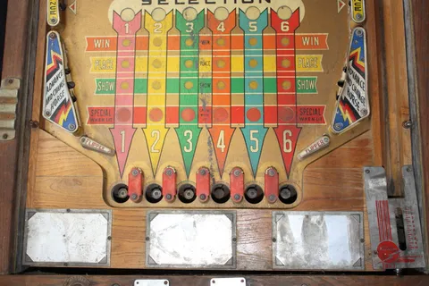 Lower Playfield