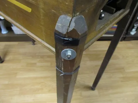 Leg