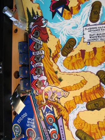 Partially Stripped Playfield - Detail