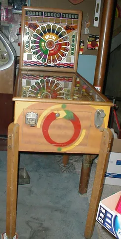Front View