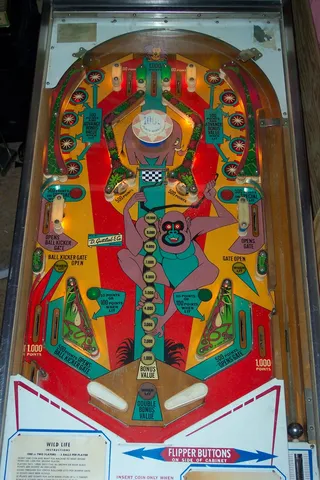 Playfield*