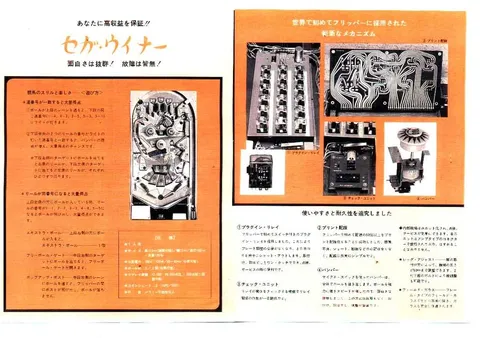 Flyer, Back