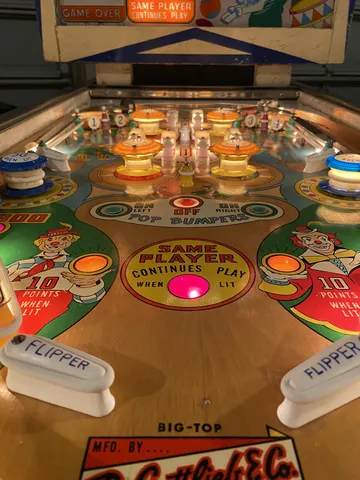 Playfield View