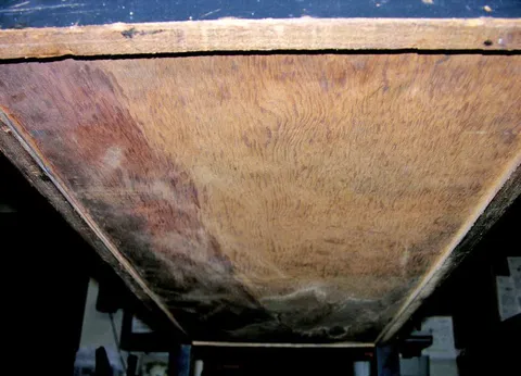 Cabinet - Bottom*