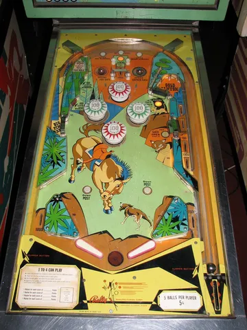 Playfield*