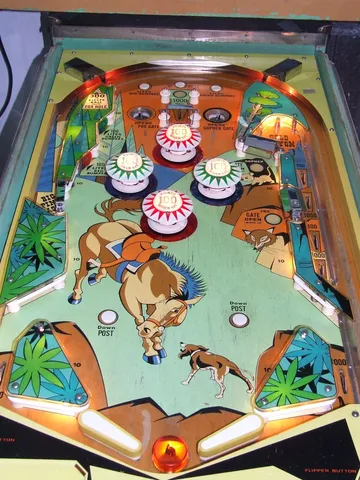 Playfield*