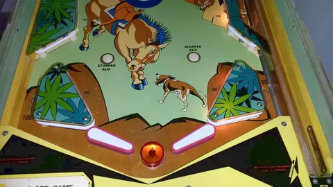 German Lower Playfield*