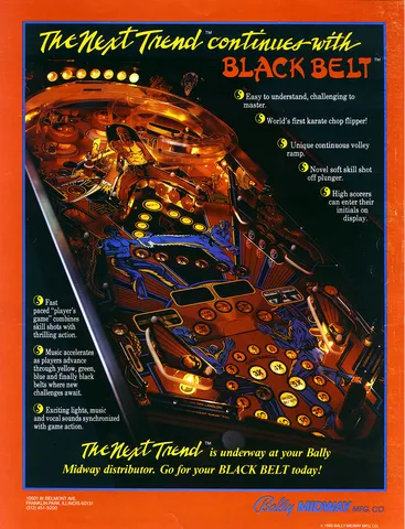 Flyer, Back