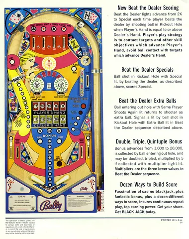Flyer, Back