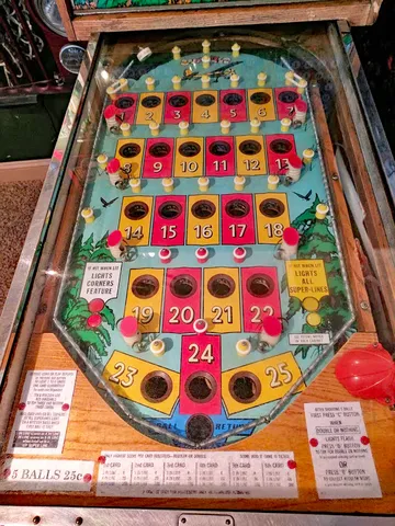 Playfield*