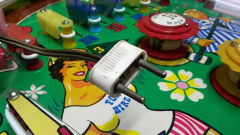 220v Two-Prong Plug*